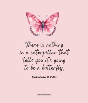 quotes about butterflies
