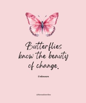 quotes for butterflies