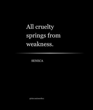 seneca quote