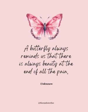 short butterfly quotes