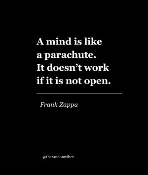 Frank Zappa Quote