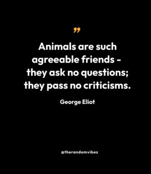 George Eliot Quotes About Animals