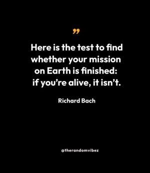 Inspirational Richard Bach Quotes