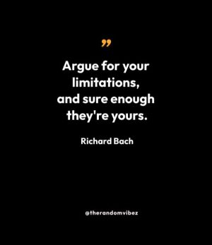 Quotes From Richard Bach