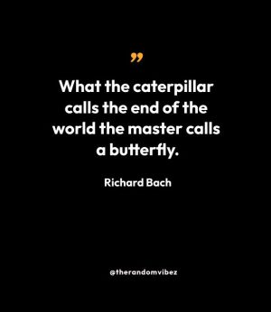 Richard Bach Butterfly Quote