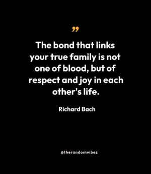 Richard Bach Family Quote