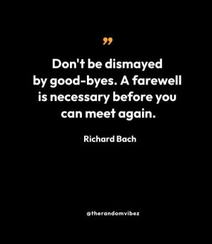 Richard Bach Quotes About Life