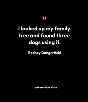 Rodney Dangerfield Quotes