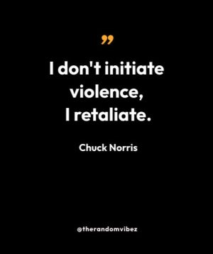 Chuck Norris Quotes