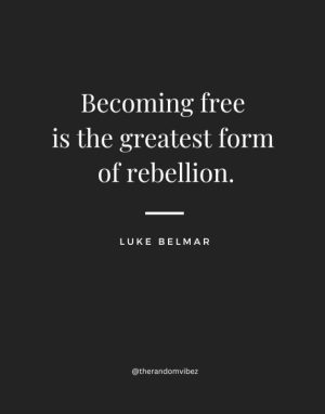 quotes by luke belmar