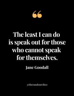 Inspiring Jane Goodall Quote