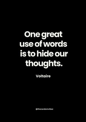 voltaire thoughts