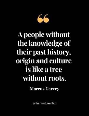 Marcus Garvey History Quote