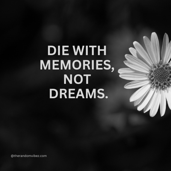 dp for whatsapp with quotes in english​
