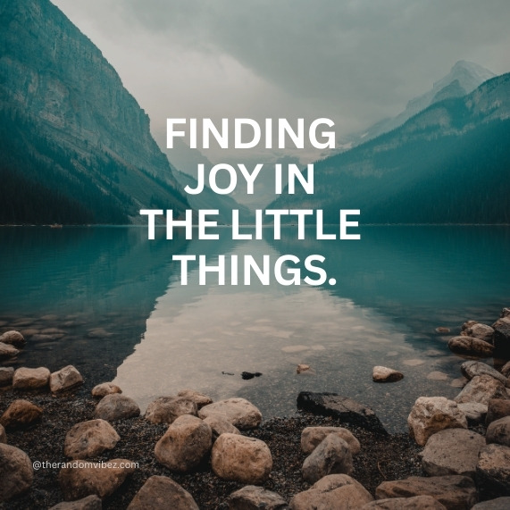 life status whatsapp dp​ image