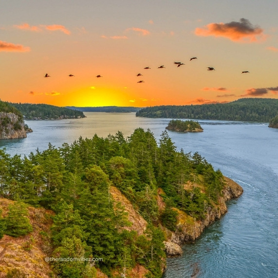 nature images for whatsapp dp​