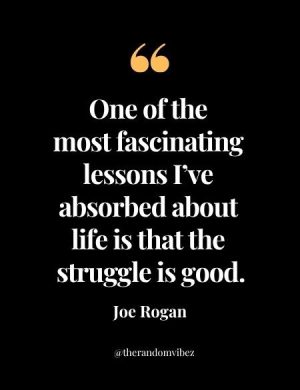 Best Joe Rogan Quotes