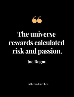 Joe Rogan Inspirational Quotes