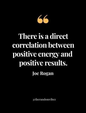 Joe Rogan Motivational Quotes