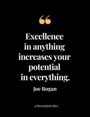 Joe Rogan Quote