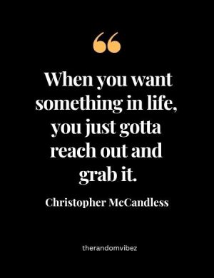 Into The Wild Quote