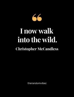 #35 Best Into The Wild Quotes By Jon Krakauer