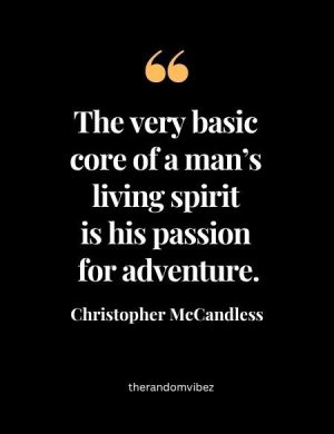 Into The Wild Quotes With Page Numbers