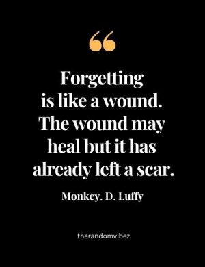 One Piece Monkey D Luffy Quotes