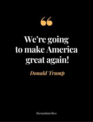 donald trump quotes