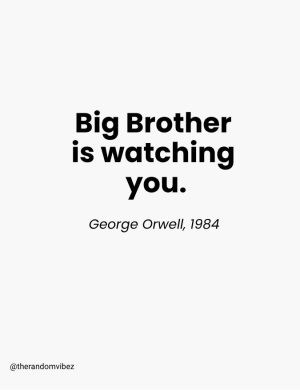 1984 book surveillance quotes