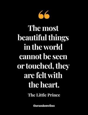 Best Quotes From The Little Prince