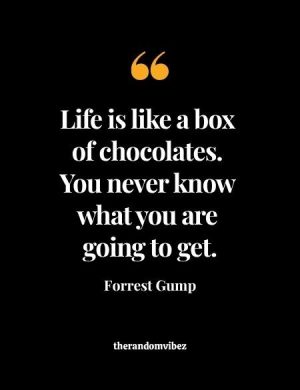 Forrest Gump Box Of Chocolates Quote​