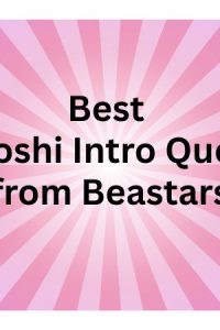 Legoshi Intro Quotes