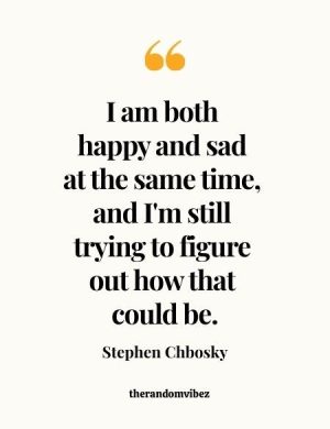 Perks Of Being A Wallflower Movie Quotes