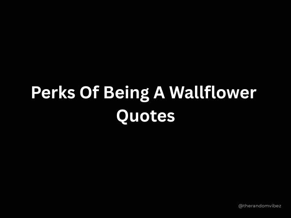 Perks Of Being A Wallflower Quotes
