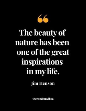 Quotes By Jim Henson
