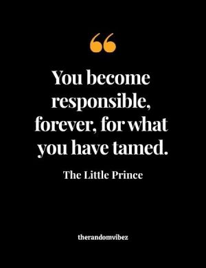 Quotes By The Little Prince