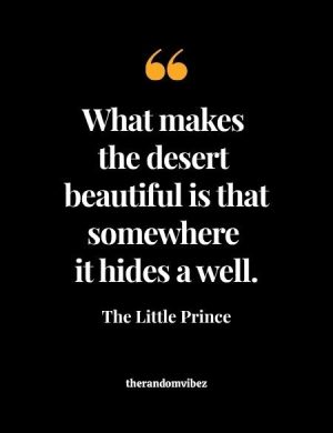 Quotes From The Little Prince