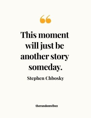 Quotes In Perks Of Being A Wallflower
