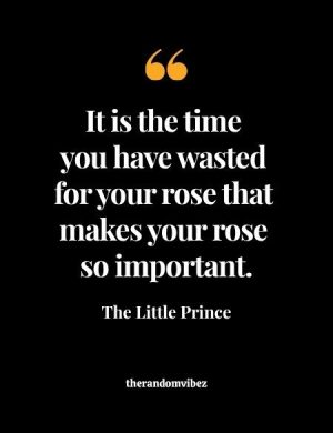 Rose Quote The Little Prince