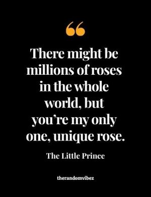 The Little Prince Quote