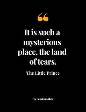 The Little Prince Quotes