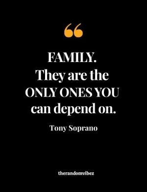 Tony Soprano Quotes About Family