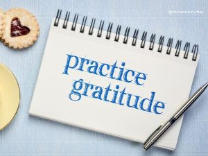 daily gratitude