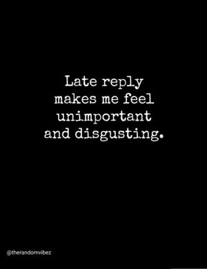 funny quotes for late reply​
