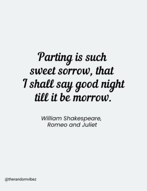romeo and juliet quotes​ love