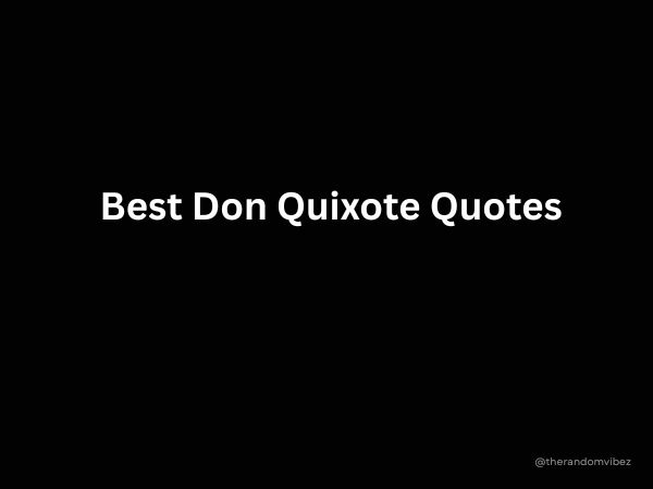 Best Don Quixote Quotes