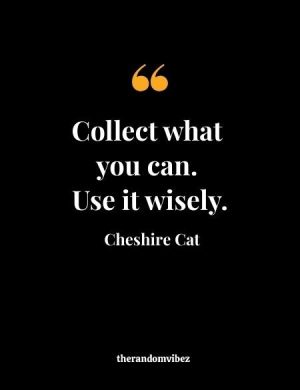 Cheshire Cat From Alice In Wonderland Quotes