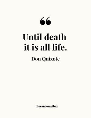 Don Quixote Quotes