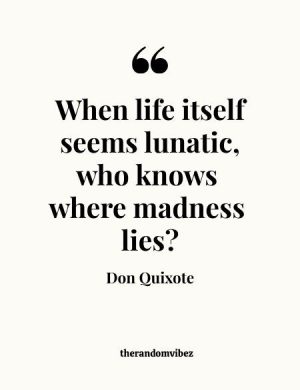 Don Quixote Quotes Spanish